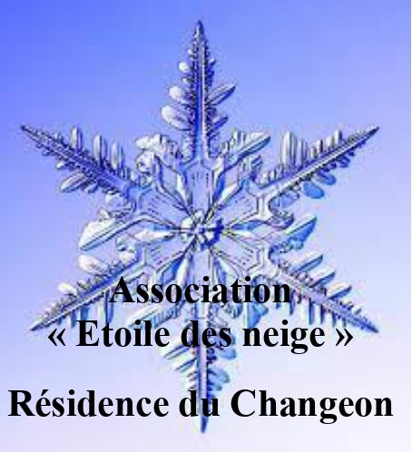 logo association étoile des neiges